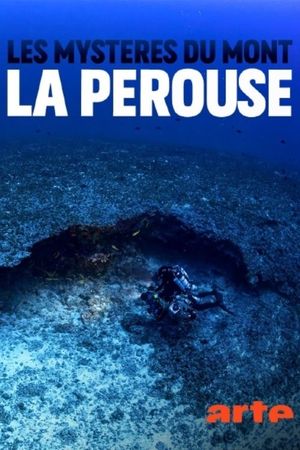 The mysteries of Mont La Pérouse's poster