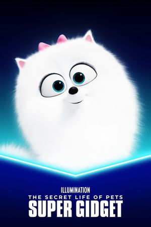 Super Gidget's poster