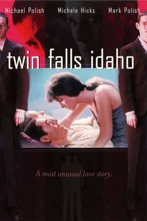 Twin Falls Idaho's poster