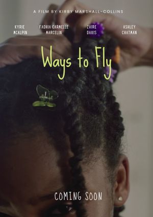 Ways to Fly's poster