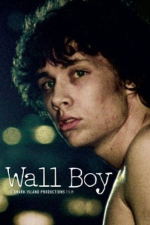 Wall Boy's poster image