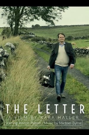 The Letter's poster