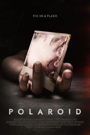 Polaroid's poster