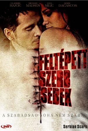 Serbian Scars's poster
