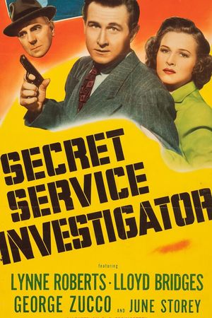 Secret Service Investigator's poster