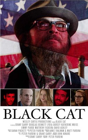 Black Cat's poster