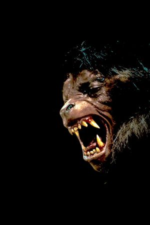 An American Werewolf in London's poster