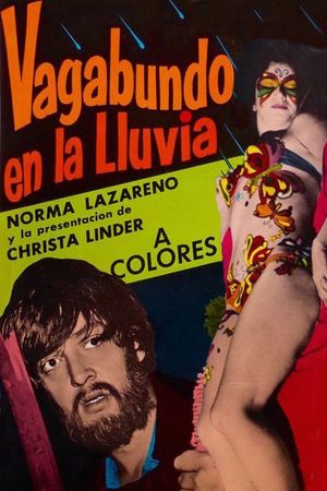 Vagabundo en la lluvia's poster