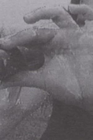 Luna 10 (The Butterfly Effect of Geography)'s poster