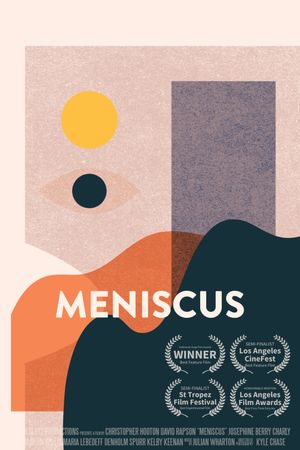 Meniscus's poster