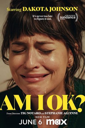 Am I OK?'s poster