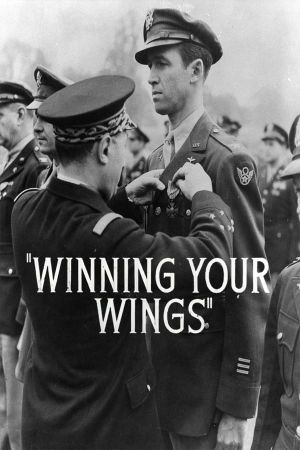 Winning Your Wings's poster image