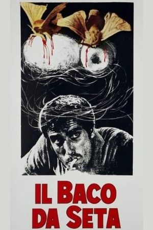 Il baco da seta's poster
