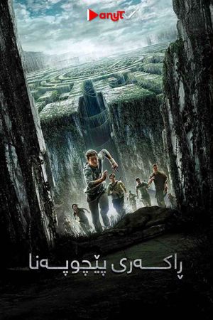 The Maze Runner's poster