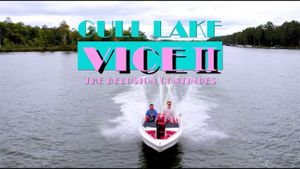 Gull Lake Vice II: The Delusion Continues's poster
