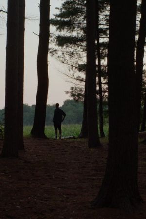 Light on a Path, Follow's poster
