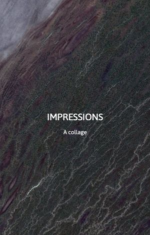 Impressions's poster