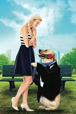 Love on a Leash's poster