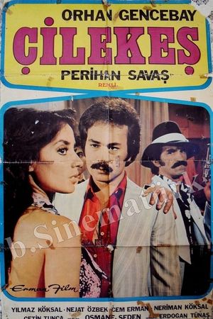 Çilekes's poster