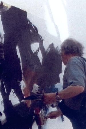 Miotte vu par Raúl Ruiz's poster