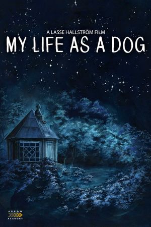 My Life as a Dog's poster