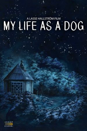 My Life as a Dog's poster