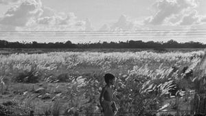 Pather Panchali's poster