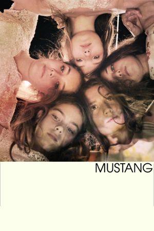 Mustang's poster