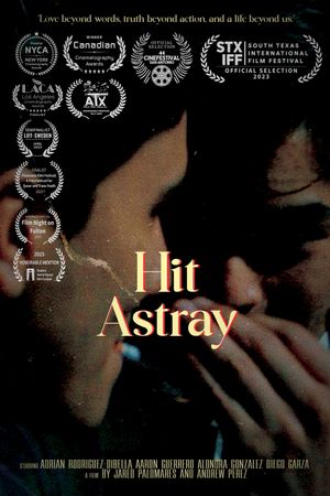 Hit Astray's poster