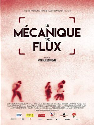 La mécanique des flux's poster