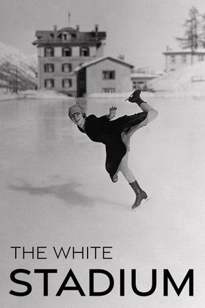 The White Stadium's poster
