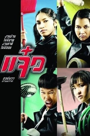 Maid's poster