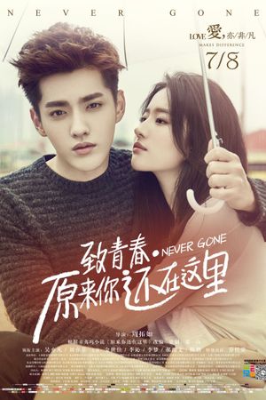 Never Gone's poster
