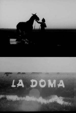 La doma's poster