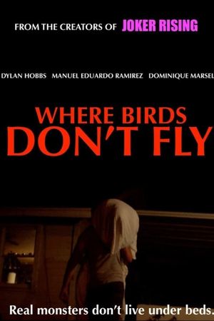 Where Birds Don't Fly's poster