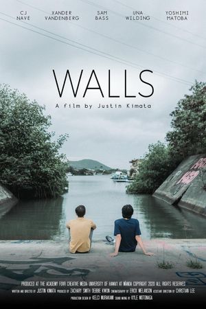 Walls's poster