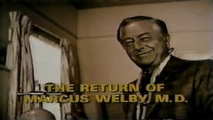 The Return of Marcus Welby, M.D.'s poster