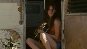 Into the Wild's poster