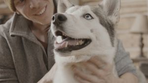 The Year of the Dog's poster
