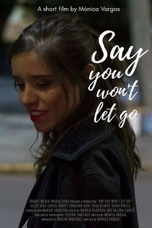 Say You Won't Let Go's poster image