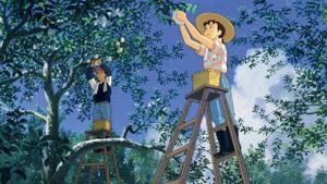 Only Yesterday's poster