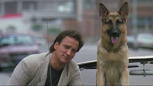K-9's poster