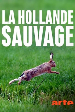 La Hollande sauvage - Dans l'oeil du delta's poster