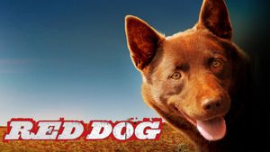 Red Dog's poster