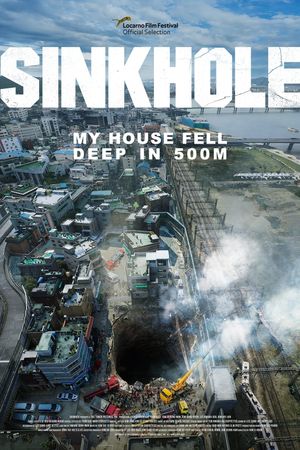 Sinkhole's poster