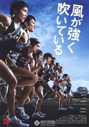 Feel the Wind's poster
