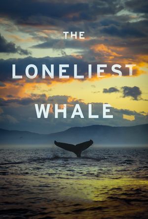 The Loneliest Whale: The Search for 52's poster