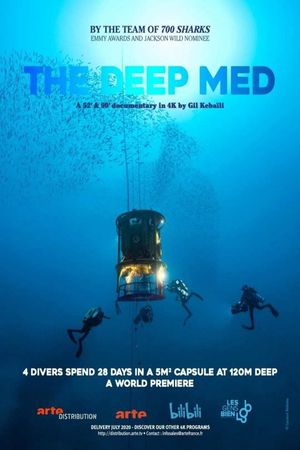 The Deep Med's poster