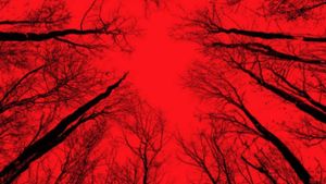 Blair Witch's poster