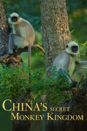 China's Secret Monkey Kingdom's poster